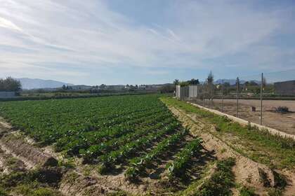 Grund i Molina de Segura, Murcia. 