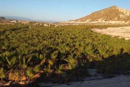 Grund i Fortuna, Murcia. 