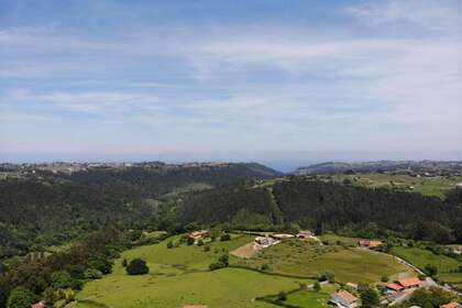 Enredo em Villaviciosa, Asturias. 