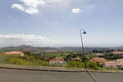 Enredo em Santa Brígida, Las Palmas, Gran Canaria. 