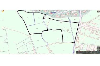 Grund i Mutxamel/Muchamiel, Alicante. 