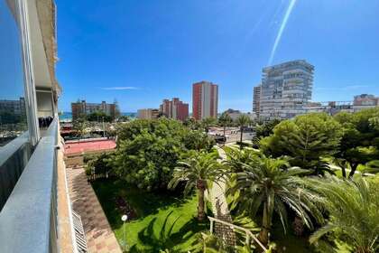 Casa en Alicante/Alacant. 