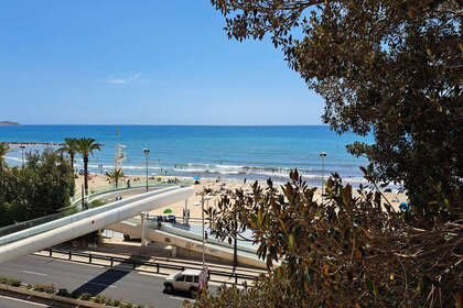 Casa in Alicante/Alacant. 