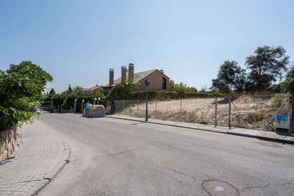 Grund i Rozas de Madrid (Las). 
