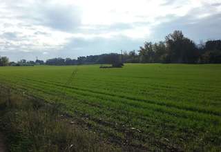 terrein