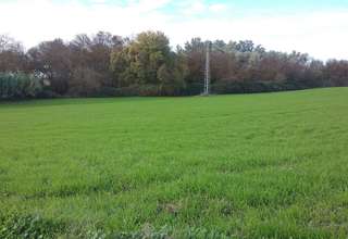 terrein