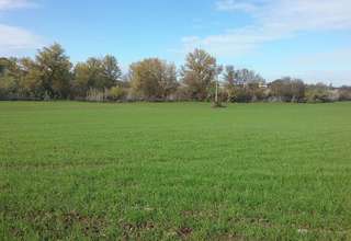 terrein