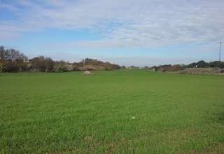 terrein