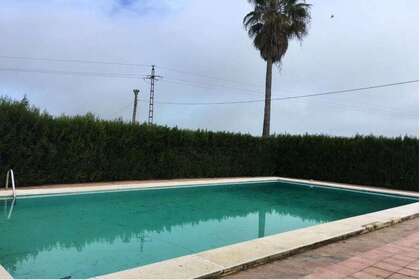 Landbouwgrond verkoop in Ctra. de Sevilla, Badajoz. 