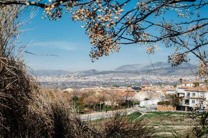 Appartamento +2bed vendita in Camino de Alhendin, La Zubia, Zubia (La), Granada. 
