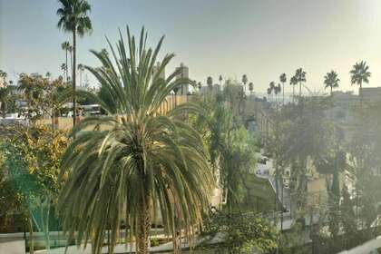 Appartamento 1bed vendita in Costa Adeje, Santa Cruz de Tenerife, Tenerife. 