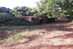 Plot for sale in Galaroza, Huelva. 