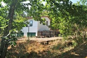 Plot for sale in Galaroza, Huelva. 