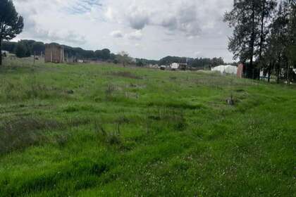 Plot for sale in Paraje el Porretal, Almonte, Huelva. 