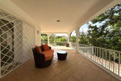 照片