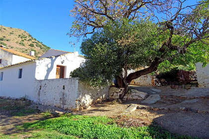 Rancho venda em Almogía, Málaga. 