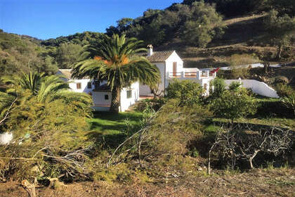 Ранчо Продажа в Casares, Málaga. 