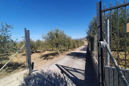 情节 出售 进入 Alhaurín el Grande, Málaga. 