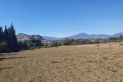 情节 出售 进入 Alhaurín el Grande, Málaga. 
