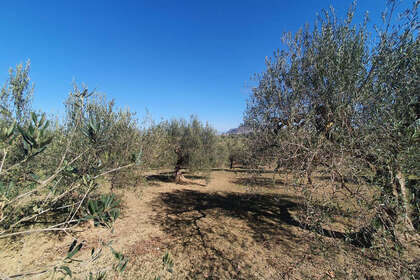 情节 出售 进入 Alhaurín el Grande, Málaga. 