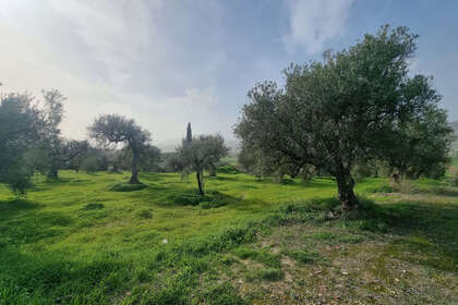 情节 出售 进入 Alhaurín el Grande, Málaga. 