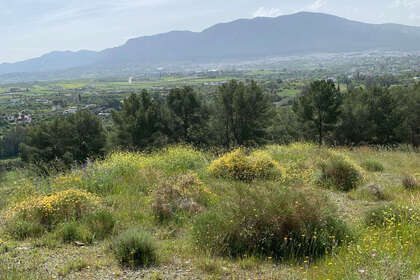 情节 出售 进入 Alhaurín el Grande, Málaga. 
