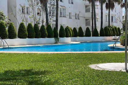 Appartamento 1bed vendita in Puerto Banús, Marbella, Málaga. 