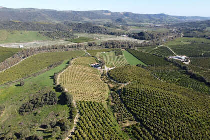 Grundstück/Finca zu verkaufen in Casares, Málaga. 