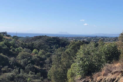 Plot for sale in Benalmádena, Málaga. 