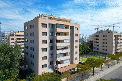 Apartment for sale in Torre del mar, Málaga. 