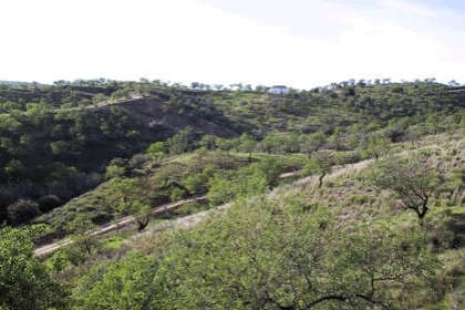 Plot for sale in Monda, Málaga. 