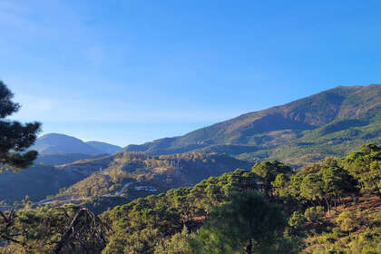 Grund til salg i La Zagaleta, Marbella, Málaga. 