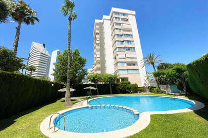 Apartamento venta en Calpe/Calp, Alicante. 