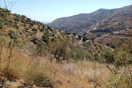 Grund til salg i Arenas, Málaga. 