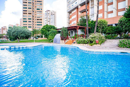 Apartment for sale in Benidorm, Alicante. 