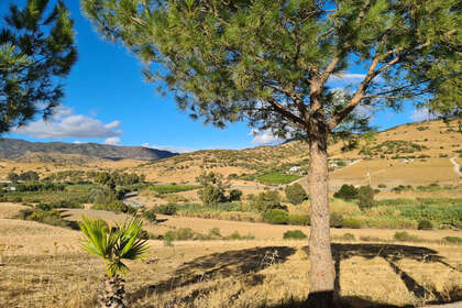 Ranch for sale in Pizarra, Málaga. 