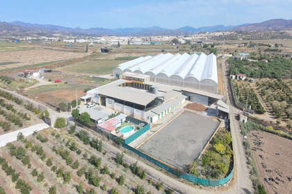 Fincaer til salg i El Tomillar, Torre del mar, Málaga. 