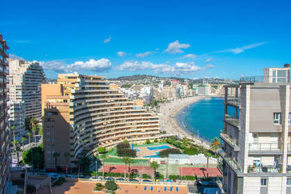 Apartamento venta en Calpe/Calp, Alicante. 