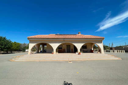 Klynge huse til salg i Crevillent, Alicante. 