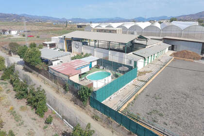 Fincaer til salg i El Tomillar, Torre del mar, Málaga. 