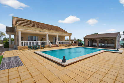 Fincaer til salg i Crevillent, Alicante. 