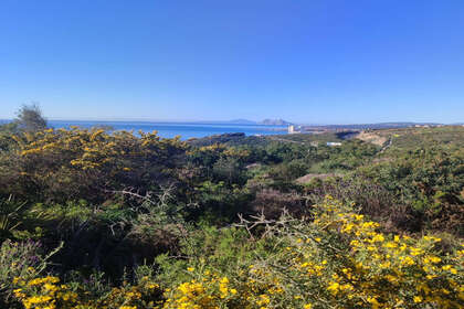 Участок Продажа в San Diego, San Roque, Cádiz. 