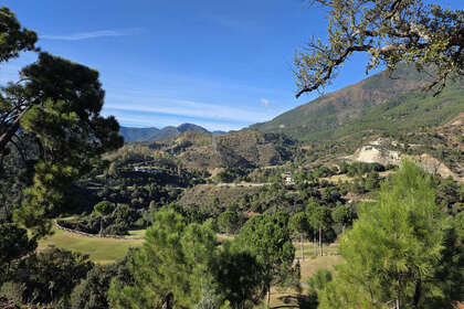 Grund til salg i La Zagaleta, Marbella, Málaga. 