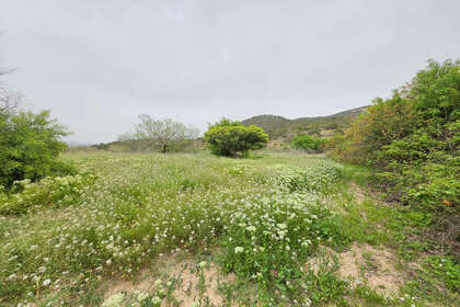 Участок Продажа в Monóvar/Monòver, Alicante. 