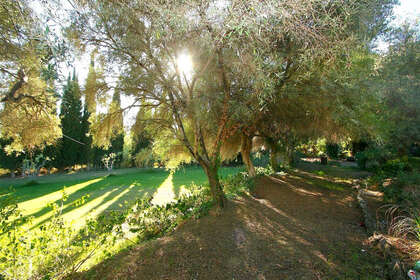 Terreno vendita in Mijas, Málaga. 