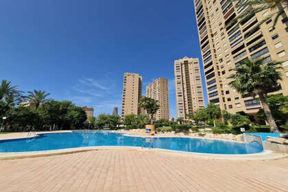 Apartment for sale in Benidorm, Alicante. 