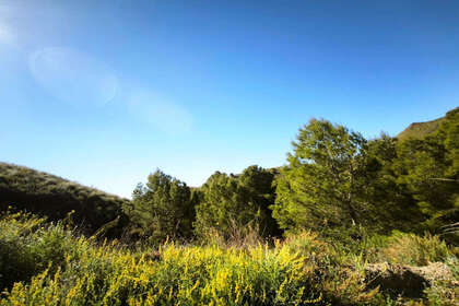 Terreno vendita in Lorca, Murcia. 