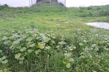 Terreno vendita in Casares, Málaga. 