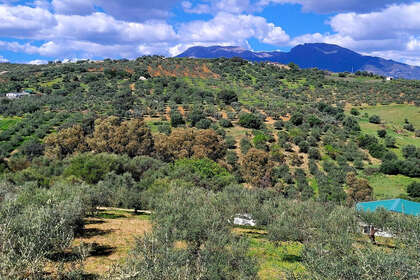 Pozemky na prodej v Guaro, Málaga. 
