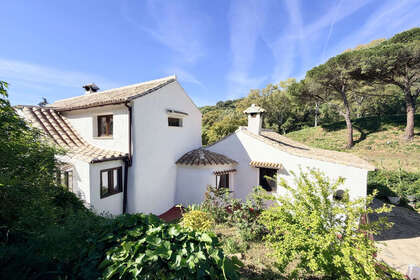 Fincas verkoop in Casares, Málaga. 